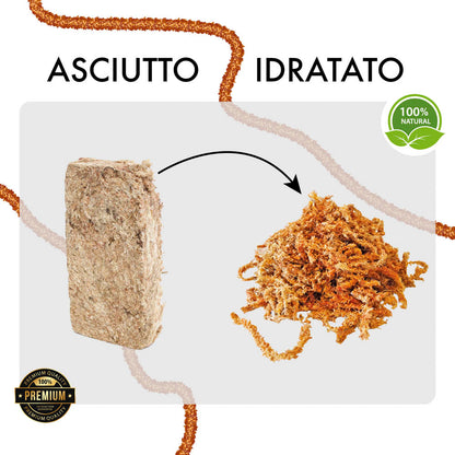 Sfagno Cileno Premium in Fibre | Ortisgreen | 1Kg