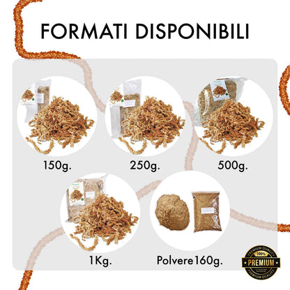 Sfagno Cileno Premium in Fibre | Ortisgreen | 1Kg