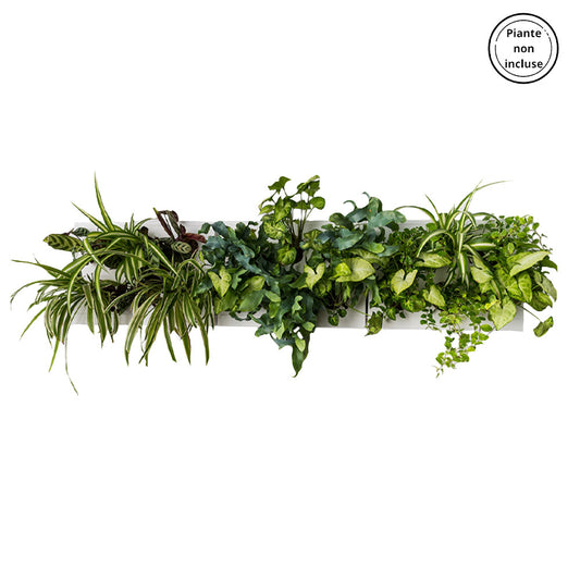 HOH! TRIO SMART Horizontal | Struttura Modulare Fai da Te - Bianco - hoh.green