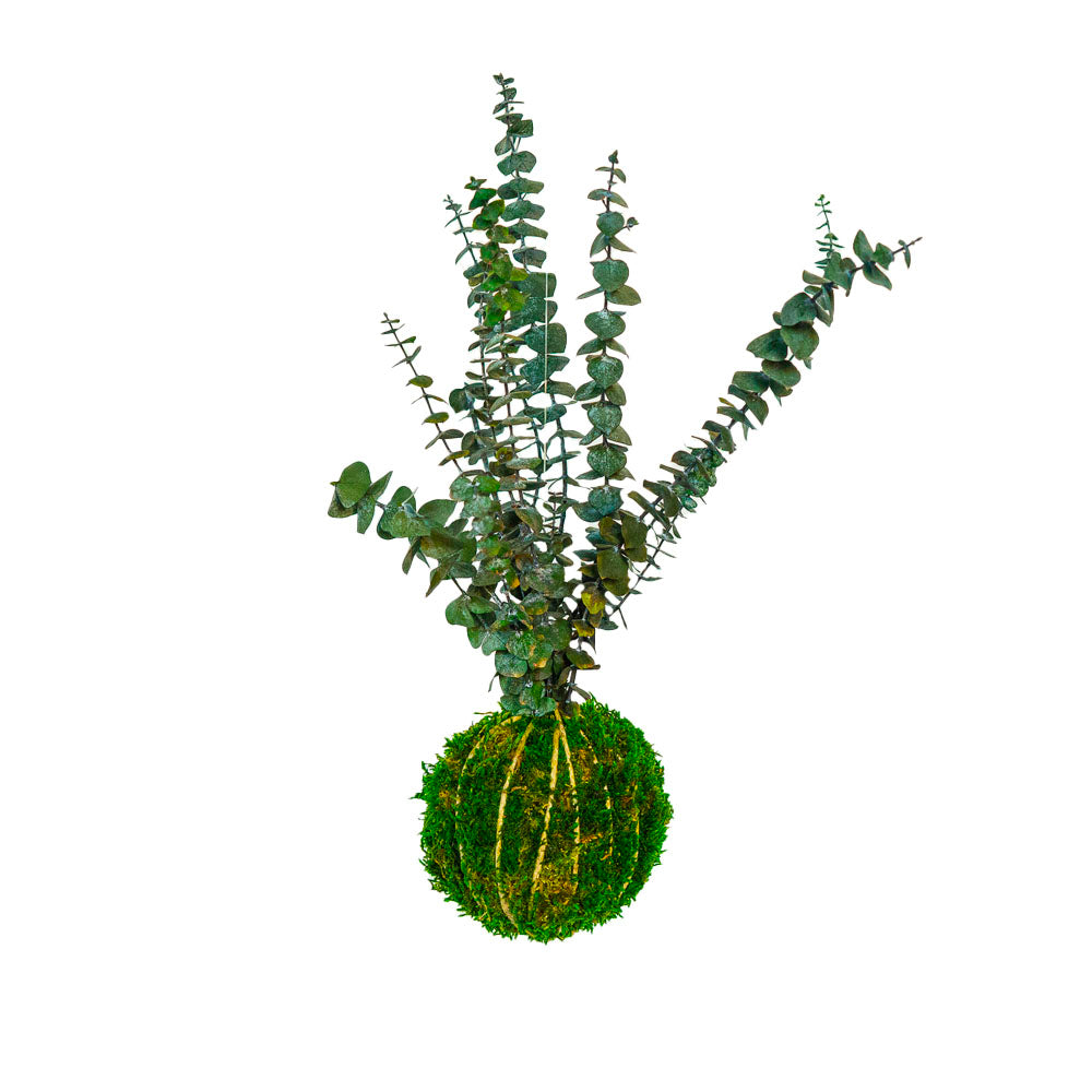 Forever OIDS Baby | Kokedama con Muschio e Piante Stabilizzate - Muschio e Spago - hoh.green