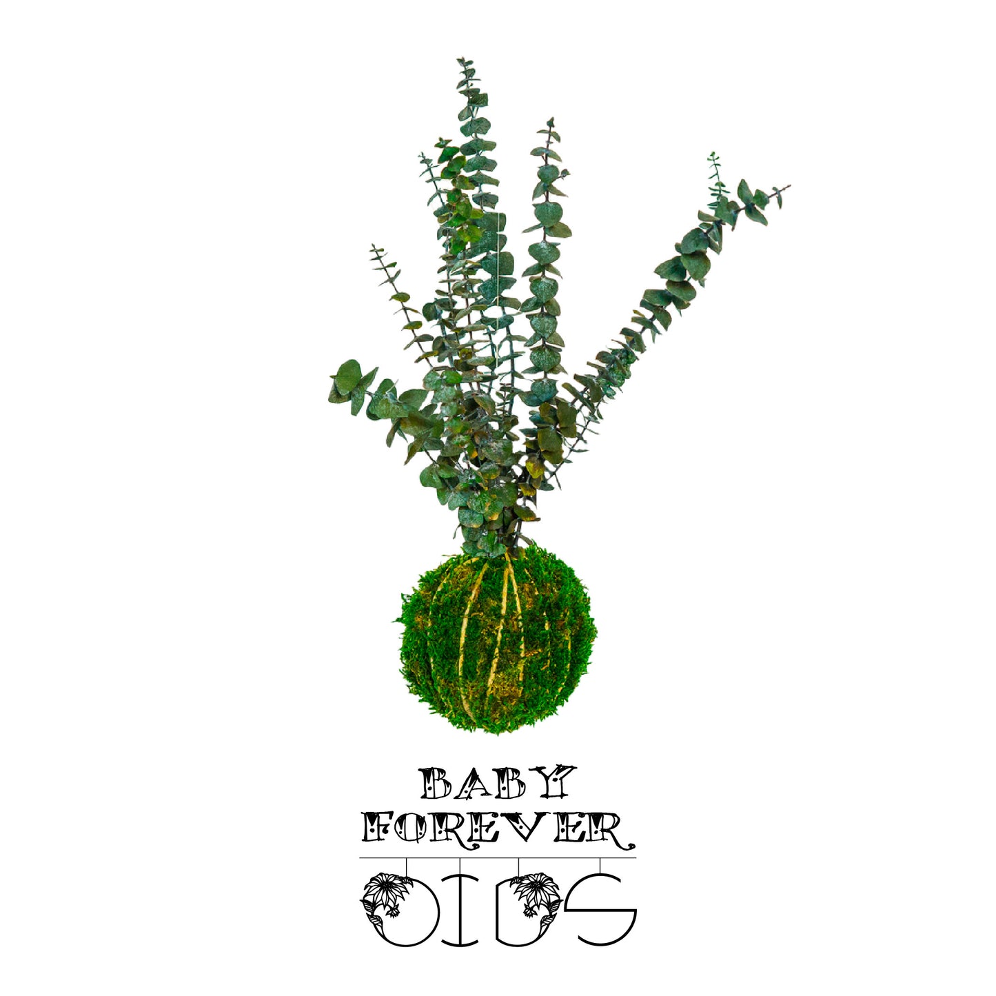 Forever OIDS Baby | Kokedama con Muschio e Piante Stabilizzate - hoh.green