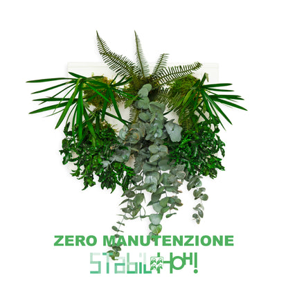 StabilHOH! | Quadro Vegetale Stabilizzato | Composizione Zero Manutenzione - hoh.green