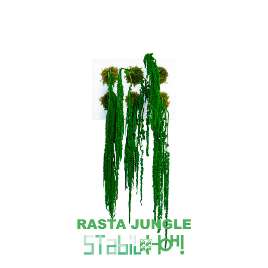 StabilHOH! | Quadro Vegetale Stabilizzato | Composizione Rasta Jungle - hoh.green