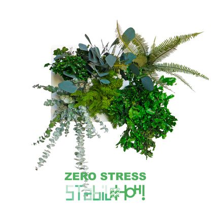 StabilHOH! | Quadro Vegetale Stabilizzato | Composizione Zero Stress - hoh.green