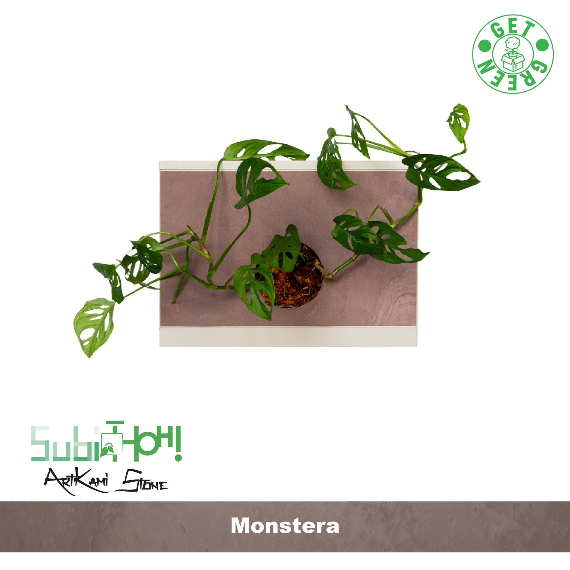 SubitHOH! ArtKami Stone Pink | MONSTERA - hoh.green